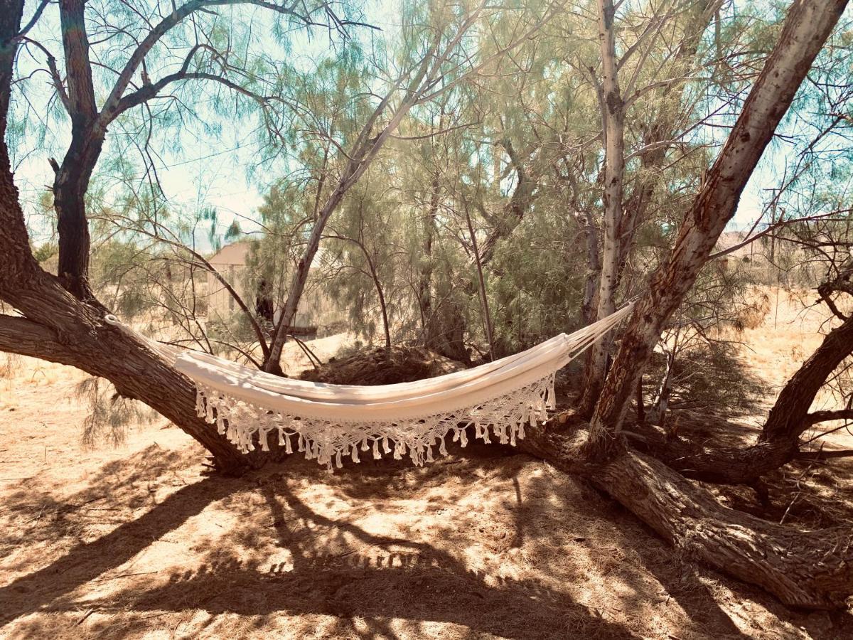 Casa Agave: Comfy Joshua Tree Cottage With Free Breakfast Bar Ngoại thất bức ảnh